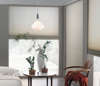 roller shades in St. George space